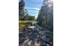123 RD Lane, BRONSON, FL 32621