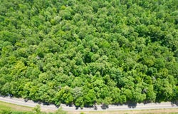 06 HALSO MILL ROAD, Greenville, AL 36037