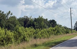 123 County Road 69, Centre, AL 35960