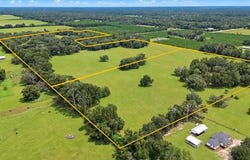 7590 NW 75th St, Chiefland, FL 32626