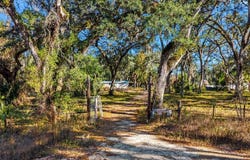 225 NE 544th St, Old Town, FL 32680