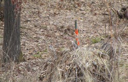 Camp Road, Weyerhaeuser, WI 54895