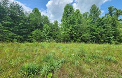 Twin Bridge Rd, Deer Lodge, TN 37726