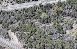 58450 Buzzard Creek Road, Collbran, CO 81624