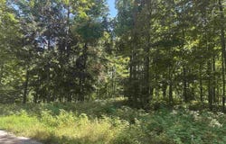 863 Aronimink Drive, Harbor Springs, MI 49740