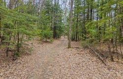 31A-4 Trafton Way, Hiram, ME 04041