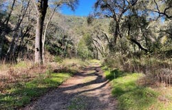 10 Garzas TRL, carmel, CA 93923