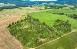 612 Freedom Way, Plummer, ID 83851