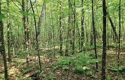 Off JOHNSON AVE, Brantwood, WI 54513