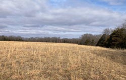 Ponder Slab Road, Iberia, MO 65486