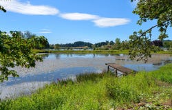 1750 PLAT I Rd, Sutherlin, OR 97479