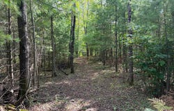 ON PINE SQUARE RD N, Cassian, WI 54501