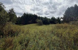 V/L 185th Avenue, Leroy, MI 49655