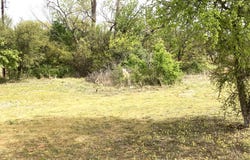 Westwoood, Graham, TX 76450