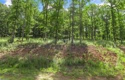 Restore Ridge lot: 23, Harrison, AR 72601
