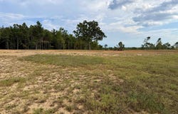 KENDRICK Rd, Michie, TN 38357