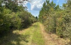 328 sasser rd, BRANTLEY, AL 36009