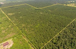 1 Highway 27, Dequincy, LA 70663