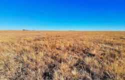 County Road 141, Rush, CO 80833