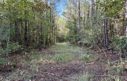 47 Mose Hilliard Road, Sontag, MS 39665