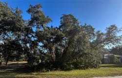 34429 MANUEL Street, WEBSTER, FL 33597