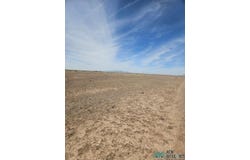 SE San Mateo Rd, Deming, NM 88030