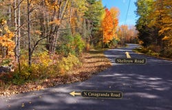 Sheltrow Road, Crystal Falls, MI 49920