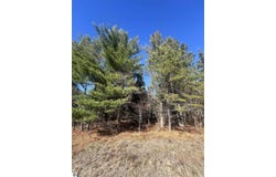 E N Down River Road lot: 364, Grayling, MI 49738