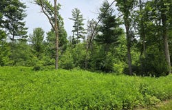 23 1/2 Street, Cameron, WI 54822