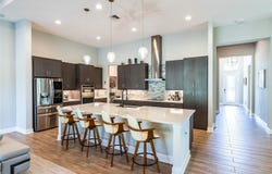 13303 TRAILING MOSS Drive, DADE CITY, FL 33525