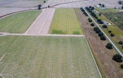 Hilton Road, Maurice, LA 70555