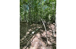 #56 S Waterboro Road, Lyman, ME 04002