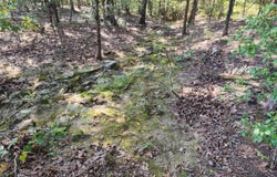 Bennett Road, Bee Branch, AR 72013