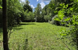 4107 E White River Drive, Hesperia, MI 49421