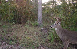 7187 Highway Kk, Hartshorn, MO 65479