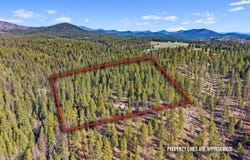 5324 Olinger Rd, Springdale, WA 99173