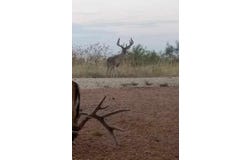 8500 CR 121, Cross Cut, TX 76801