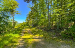 Old Whitney Road, Harrison, ME 04040