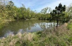10961 Highway 60, Plainview, AR 72857