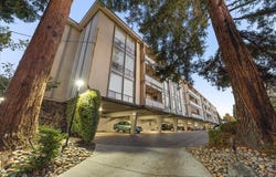 1614 Hudson ST 311, REDWOOD CITY, CA 94061
