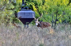 267 County Road 112, Mullin, TX 76864