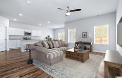 385 JEMISON TRAILS DRIVE, JEMISON, AL 35085