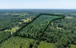 Downsville Rd, Downsville, LA 71234