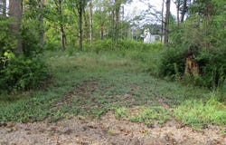 Orchard Road, South Haven, MI 49090