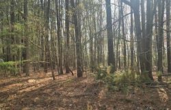 PINE MEADOWS WAY lot: 2, EXMORE, VA 23350