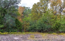 Ladewig, Schulenburg, TX 78956