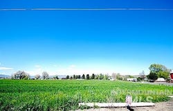 Pioneer Road, Weiser, ID 83672