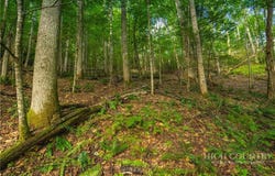 Wasatch Drive, Boone, NC 28607