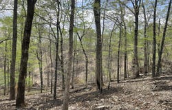 St. Hwy N Tract D, Ava, MO 65608