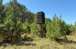 CO RD 38, Safford, AL 36728